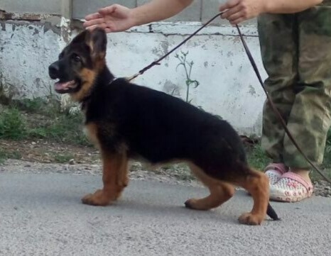  2 мес 9 дней 1.jpg